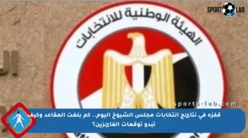 قفزة في نتائج انتخابات مجلس الشيوخ اليوم.. كم بلغت المقاعد وكيف تبدو توقعات الفائزين؟